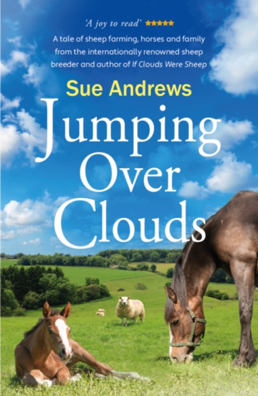Jumping Over Clouds - Sue Andrews