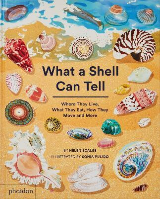 What A Shell Can Tell - Helen Scales, Sonia Pulido (ilustrátor) - kniha z kategorie Pro děti