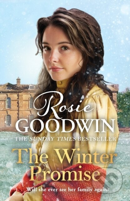 The Winter Promise (A perfect cosy Victorian saga from the Sunday Times bestselling author) - kniha z kategorie Beletrie