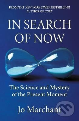 In Search of Now - -