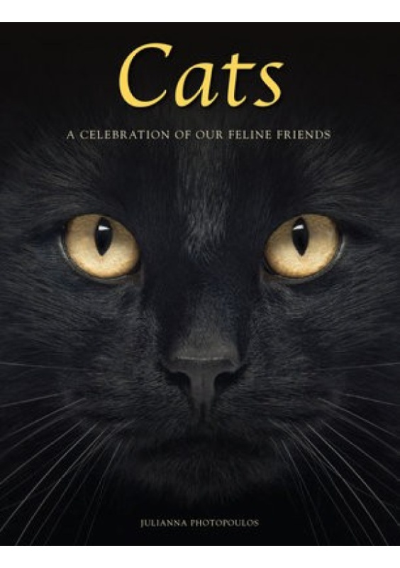 Cats, A Celebration of our Feline Friends Amber Books Ltd