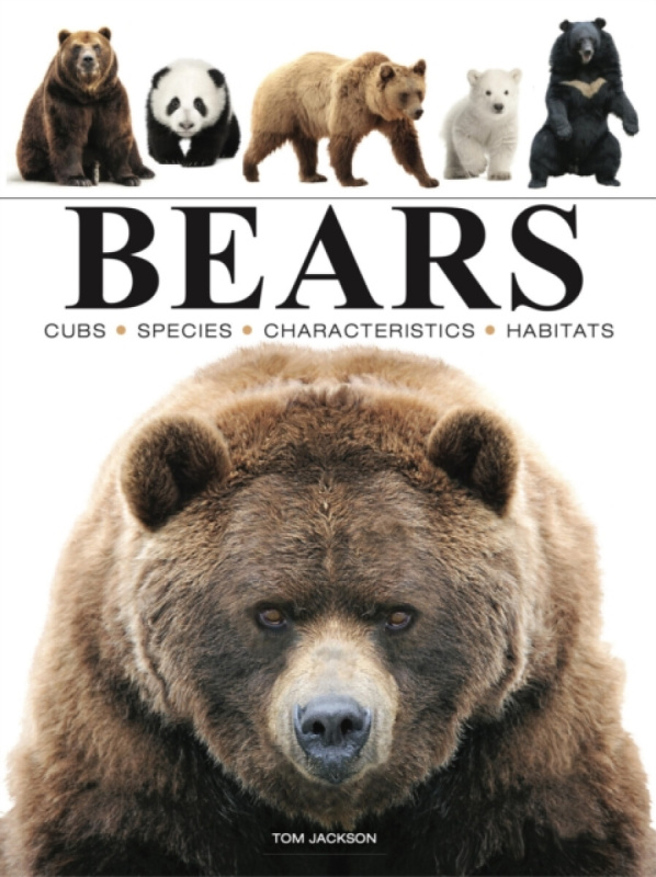 Bears Amber Books Ltd