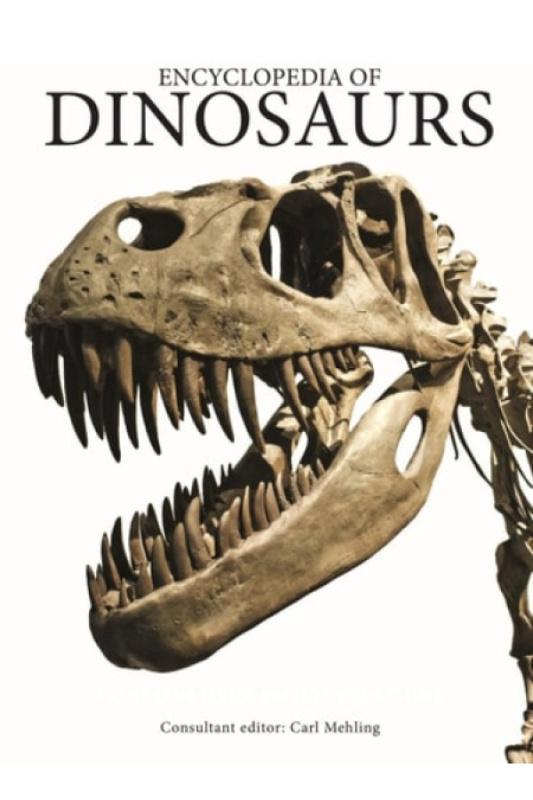 Encyclopedia of Dinosaurs Amber Books Ltd