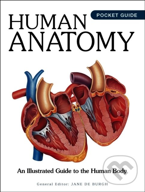 Human Anatomy - Jane de Burgh - kniha z kategorie Biológia