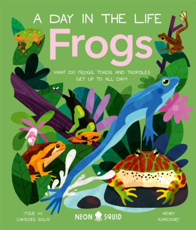 Frogs (A Day in the Life) - Neon Squid, Itzue W. Caviedes-Solis