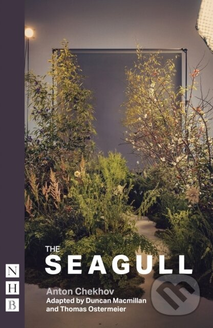 The Seagull - Duincan / Macmillan - kniha z kategorie Drama a divadelní hry