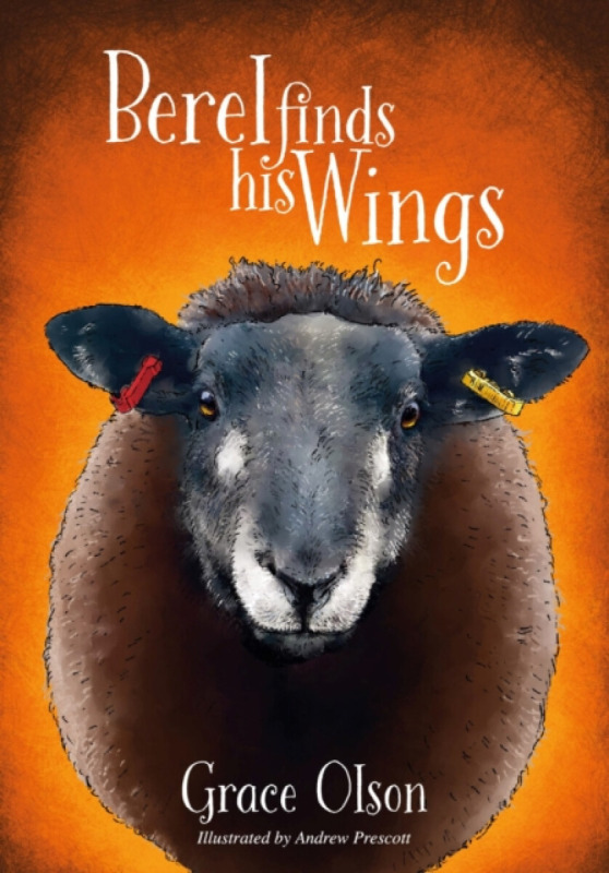Brown Dog Books Berel Finds His Wings - Olson, Grace