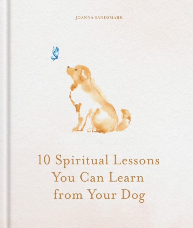 Octopus Publishing Group 10 Spiritual Lessons You Can Learn from Your Dog - Sandsmark, Joanna