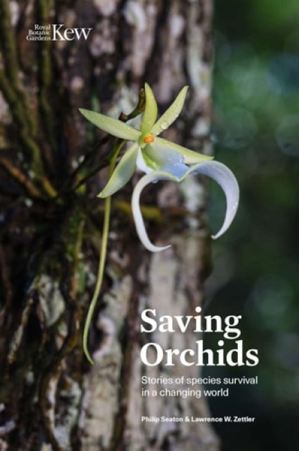 Saving Orchids, Stories of species survival in a changing world Royal Botanic Gardens
