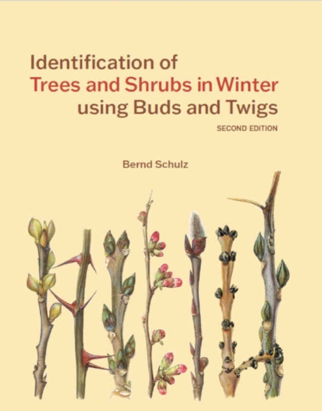 Identification of Trees and Shrubs in Winter using Buds and Twigs Royal Botanic Gardens