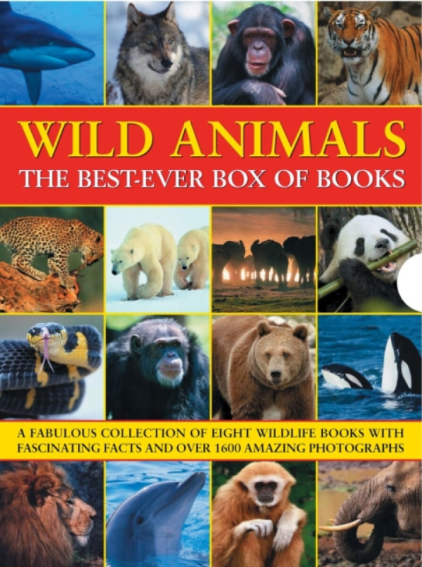 Wild Animals Best Ever Box of Books - Taylor Barbara