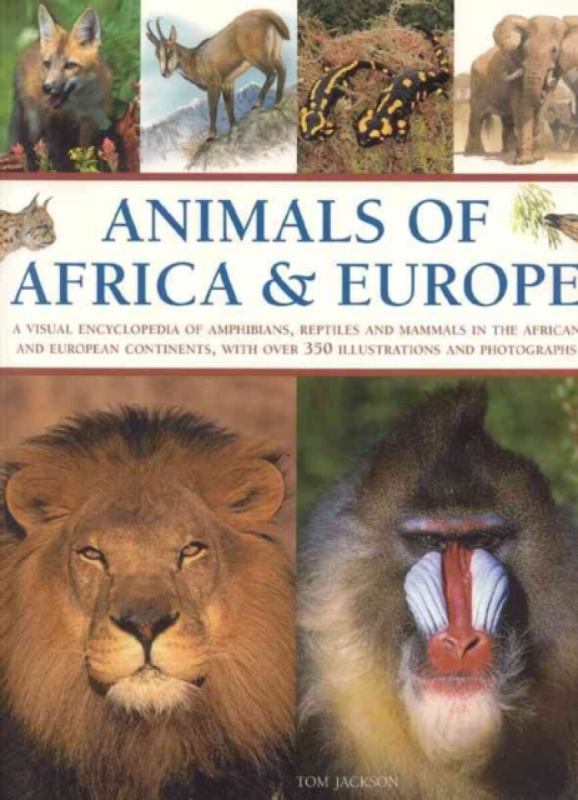 Animals of Africa and Europe - Michael Chinery, Tom Jackson