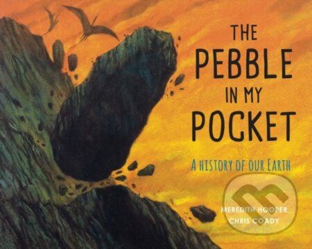 The Pebble in My Pocket (A History of Our Earth) - Meredith Hooper - kniha z kategorie Pro děti