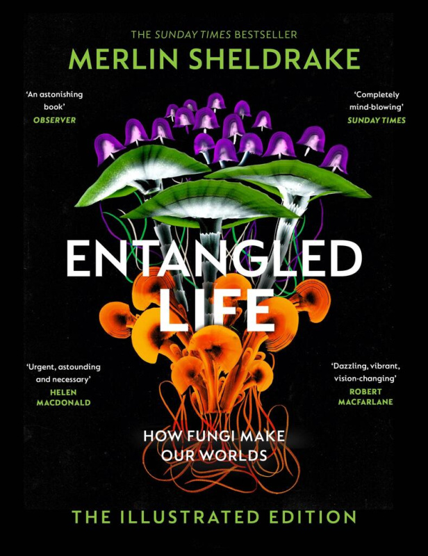Entangled Life (How Fungi Make Our Worlds, Change Our Minds and Shape Our Futures - The Illustrated Edition) - kniha z kategorie Filozofie