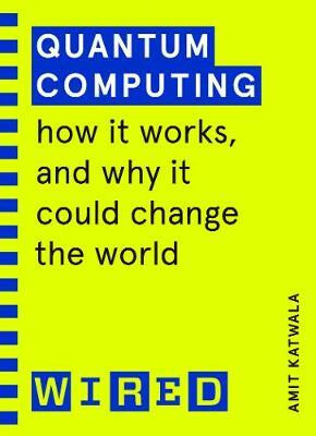 Quantum Computing (How It Works and How It Could Change the World) - kniha z kategorie Přírodní vědy a technika