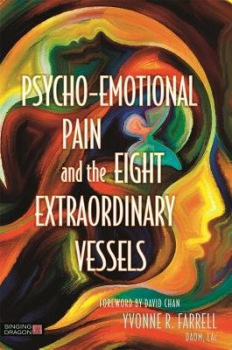 Psycho-Emotional Pain and the Eight Extraordinary Vessels, Treating the Spirit Jessica Kingsley Publishers