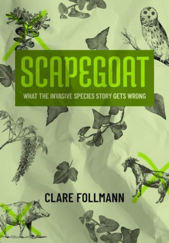 Scapegoat - Clare Follman