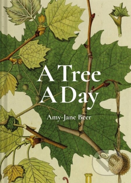 A Tree A Day - Amy-Jane Beer - kniha z kategorie Zdraví a životní styl