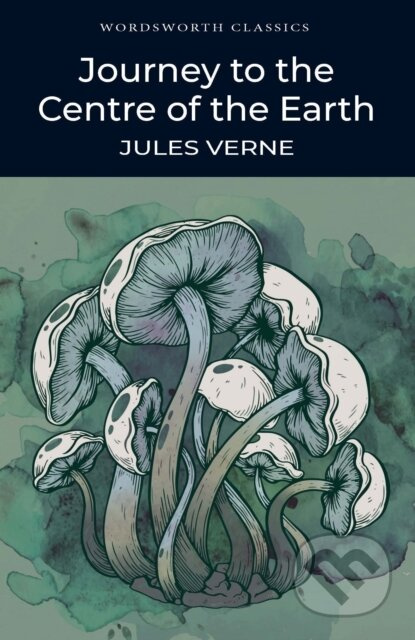 Journey to the Centre of the Earth - Jules Verne