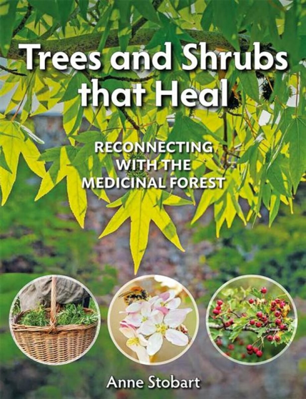 Trees and Shrubs that Heal - Anne Stobart