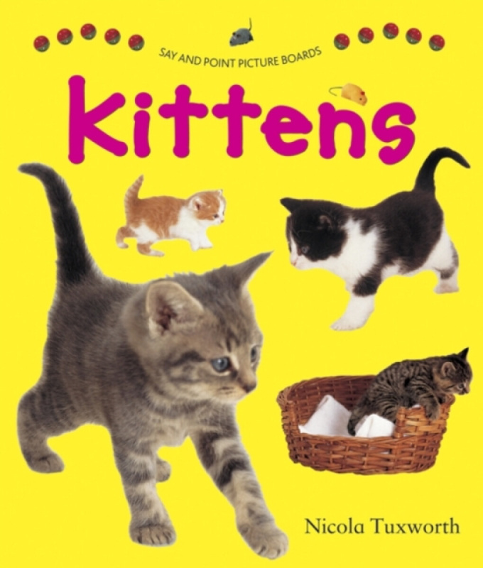 Say and Point Picture Boards: Kittens - Tuxworth Nicola