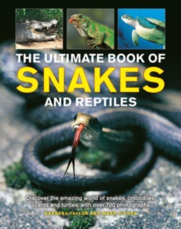 Ultimate Book of Snakes and Reptiles - Taylor Barbara
