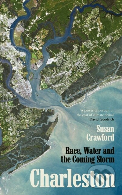 Charleston (Race, Water and the Coming Storm) - Susan Crawford - kniha z kategorie Biznis a manažment