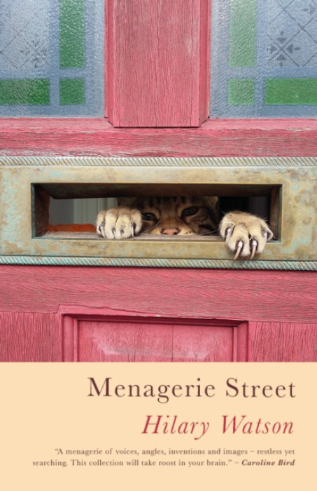 Poetry Wales Press Menagerie Street - Watson, Hilary