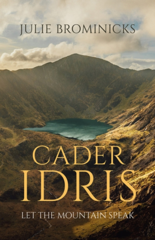 Poetry Wales Press Cader Idris - Brominicks, Julie
