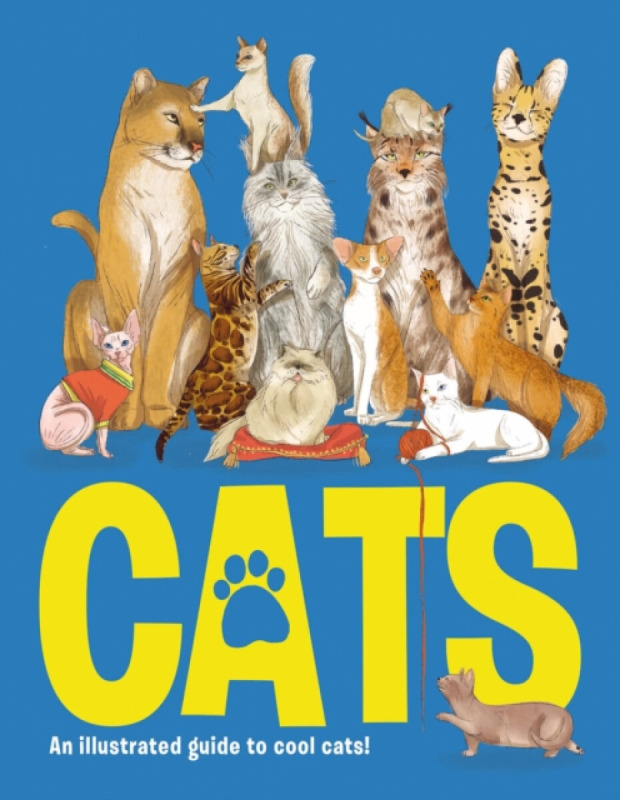 Cats - Eliza Jeffery