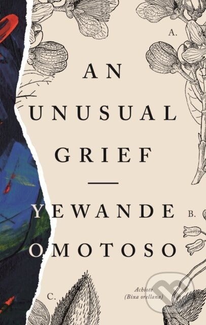 An Unusual Grief - Yewande Omotoso - kniha z kategorie Životopisy, reportáže a myšlenky