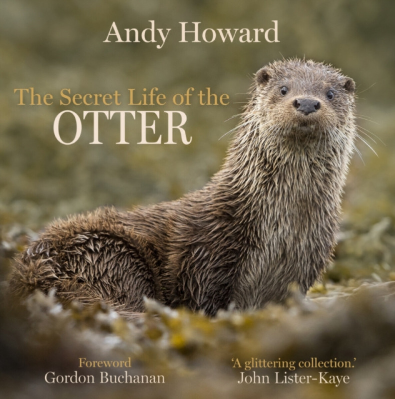 The Secret Life of the Otter - Andy Howard
