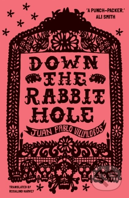 Down the Rabbit Hole (Shortlisted for the 2011 Guardian First Book Award) - kniha z kategorie Společenská beletrie