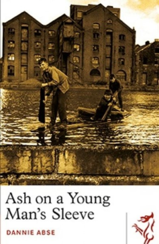 Library of Wales: Ash on a Young Man's Sleeve - Dannie Abse