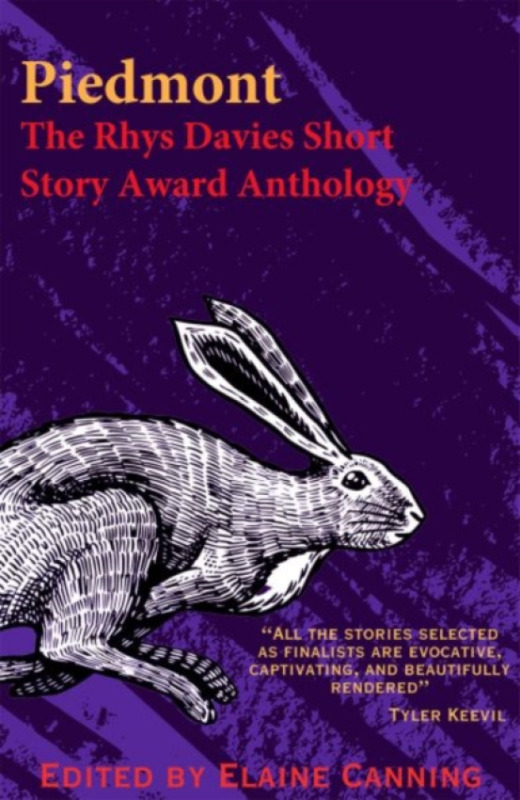 Parthian Books Rhys Davies Short Story Competition Anthology