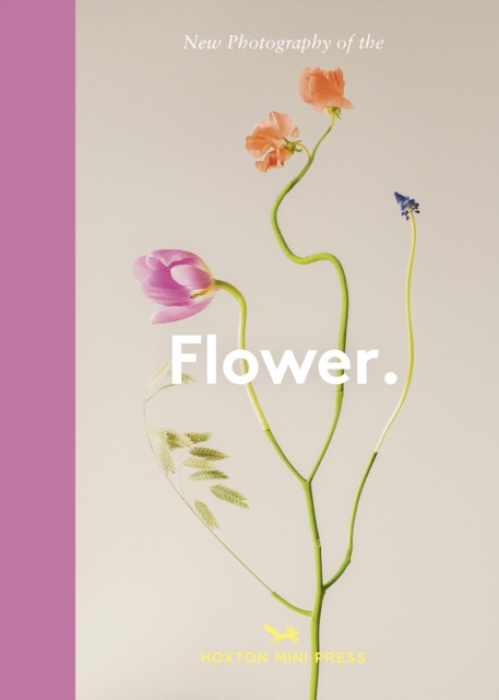 Flower., New Photography of the Hoxton Mini Press