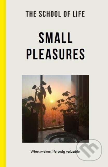 Small Pleasures (What makes life truly valuable) - The School of Life - kniha z kategorie Humanitní a společenské vědy