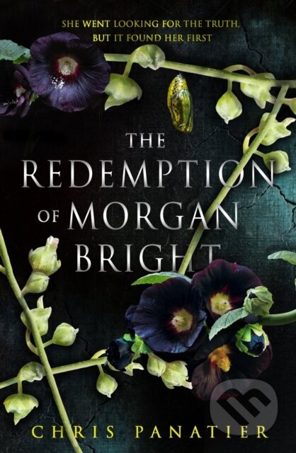 The Redemption of Morgan Bright - Chris Panatier - kniha z kategorie Detektivky, thrillery a horory