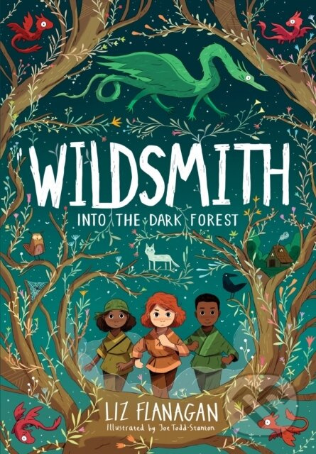 Into the Dark Forest - Liz Flanagan, Joe Todd-Stanton (Ilustrátor) - kniha z kategorie Sci-fi, fantasy a komiksy