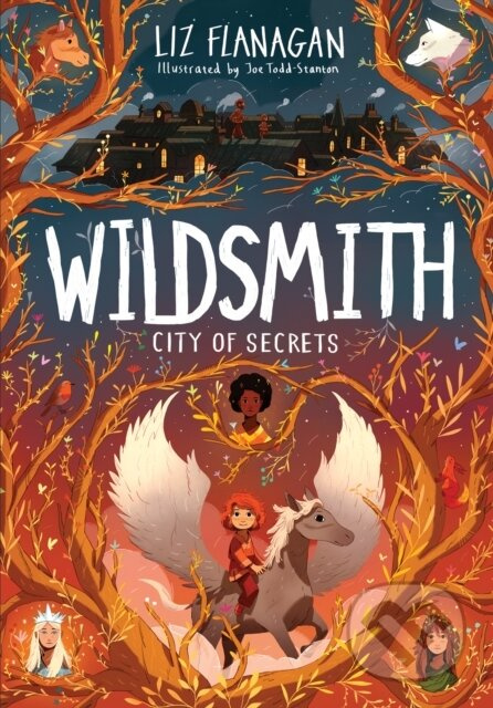 City of Secrets - Liz Flanagan - kniha z kategorie Beletrie pro děti