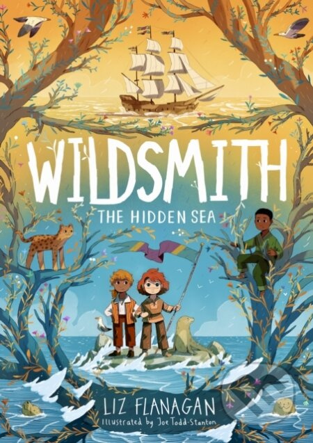 The Hidden Sea (The Wildsmith #3) - Liz Flanagan - kniha z kategorie Pro děti