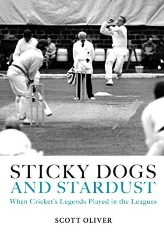 Sticky Dogs and Stardust - Scott Oliver