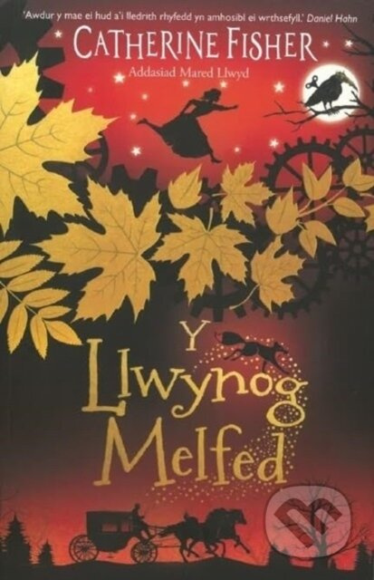 Y Llwynog Melfed - Catherine Fisher - kniha z kategorie Pro děti