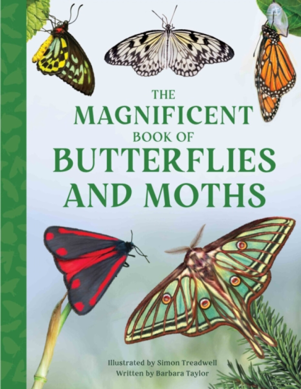 The Magnificent Book of Butterflies & Moths - Taylor Barbara