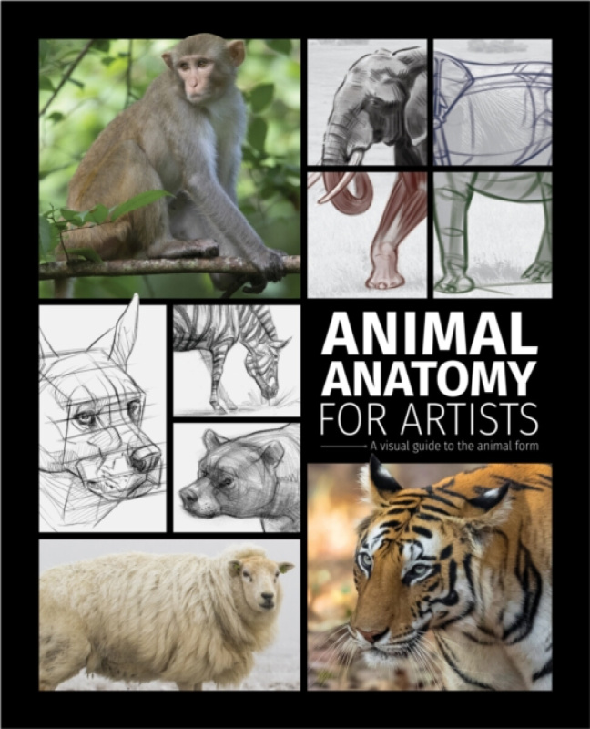 Animal Anatomy for Artists, A visual guide to the animal form 3DTotal Publishing Ltd