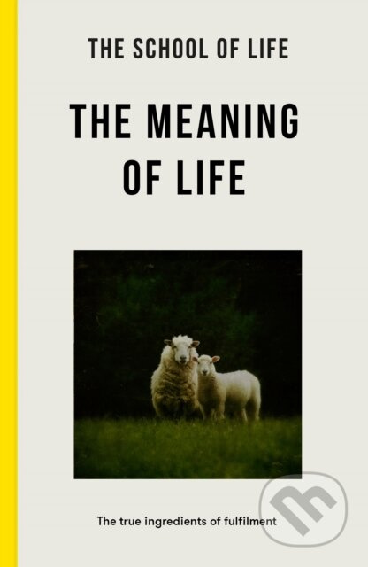 The Meaning of Life (the true ingredients of fulfilment) - kniha z kategorie Humanitní a společenské vědy