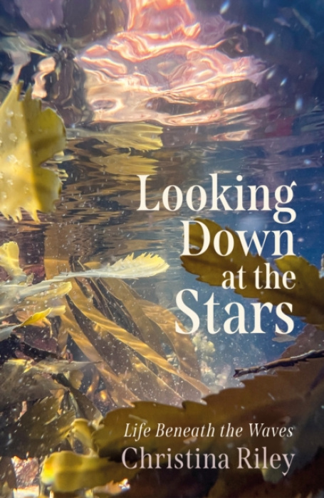 Saraband / Contraband Looking Down at the Stars - Riley, Christina