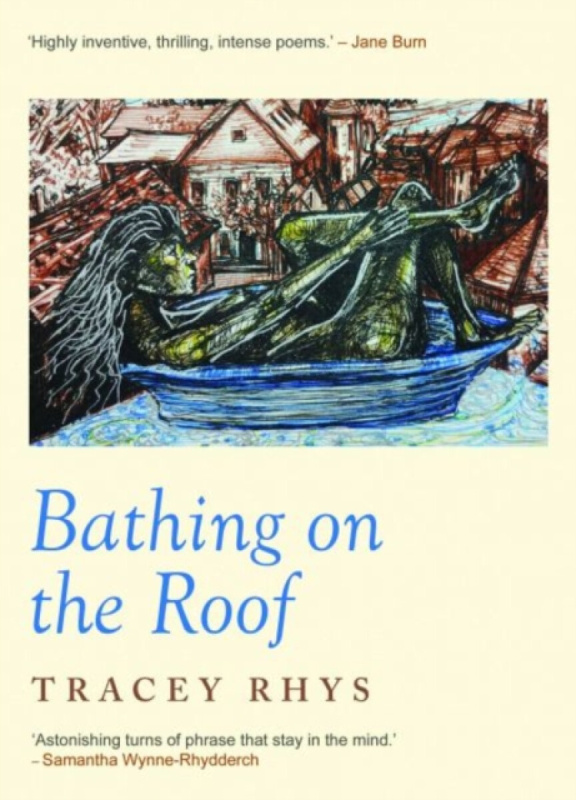 Parthian Books Bathing on the Roof - Rhys, Tracey