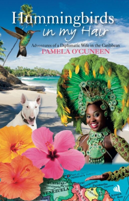 Chiselbury Publishing Hummingbirds in My Hair - O'Cuneen, Pamela