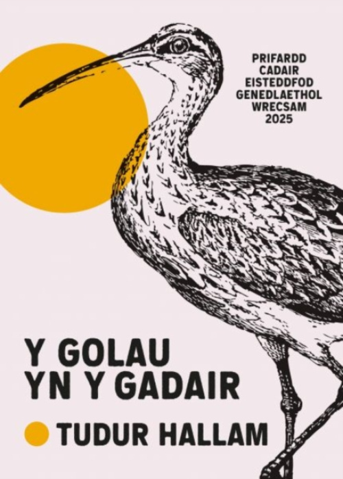 Cyhoeddiadau Barddas Y Golau yn y Gadair - Hallam, Tudur
